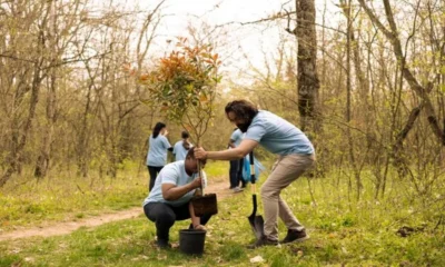 Father Grant and the NWBKA: A Legacy of Beekeeping Excellence