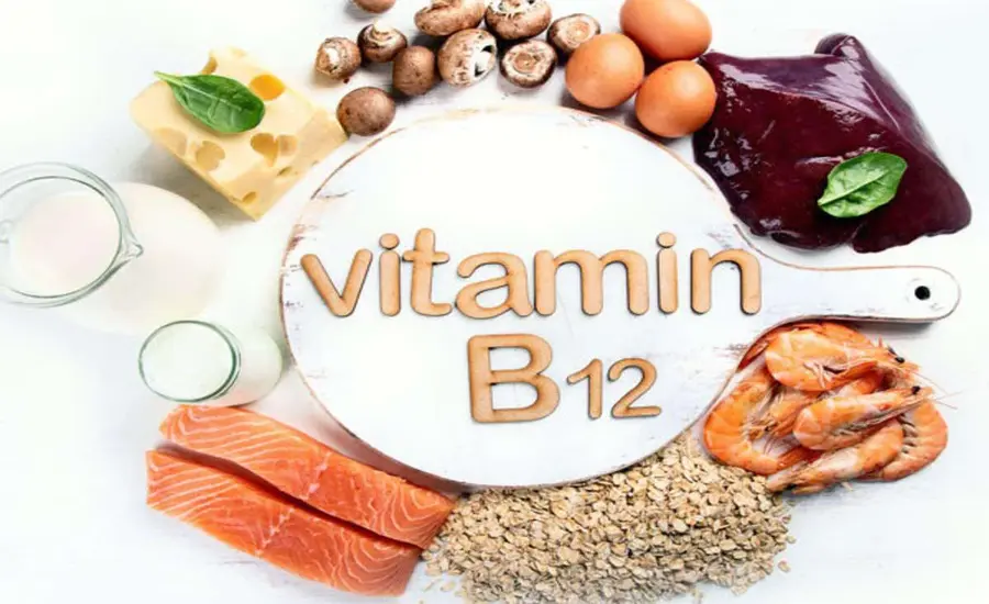 What Are the Benefits of WellHealthOrganic Vitamin B12