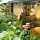 The Benefits of Plant Nurseries A Deep Dive into the Green World by Webfreen.com