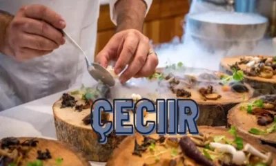 Unveiling Çeciir A Hidden Gem Worth Exploring