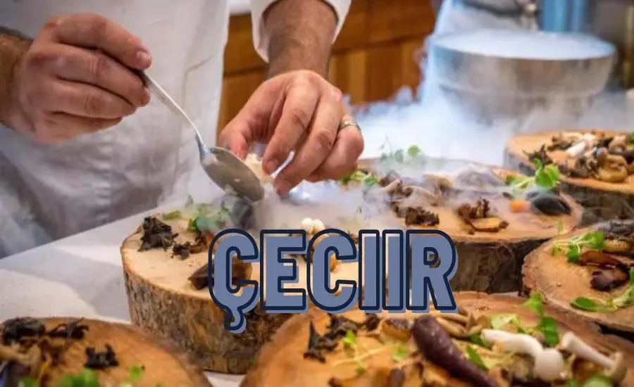 Unveiling Çeciir A Hidden Gem Worth Exploring