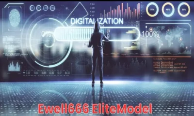 Ewell666 Model Year Key Features and Insights