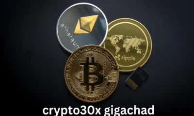 Let's Dive into the World of Crypto30x.com Gigachad