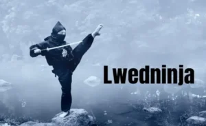 Lwedninja A Detailed Overview of the Game and Its Features