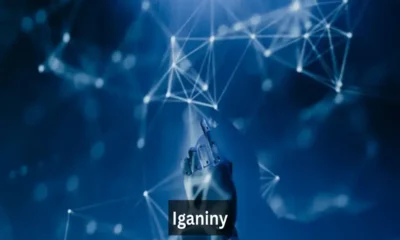 A Step-by-Step Guide to Understanding Iganiny