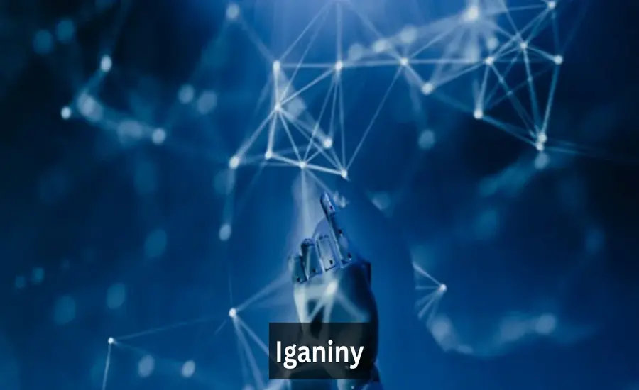 A Step-by-Step Guide to Understanding Iganiny