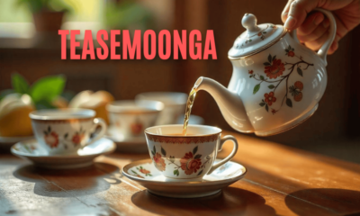 How to Make Teasemoonga Tips for Beginners