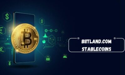 How to Optimize Your Digital Assets on Biitland.com